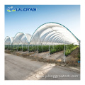 Agricultural Hydroponic Systems Multi-span Film Greenhouse